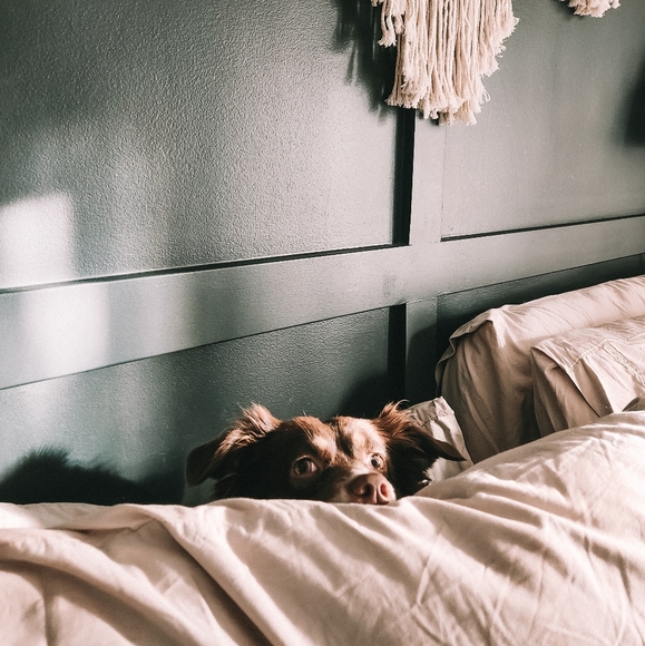 Meet your Posher - Picture 1 of 1